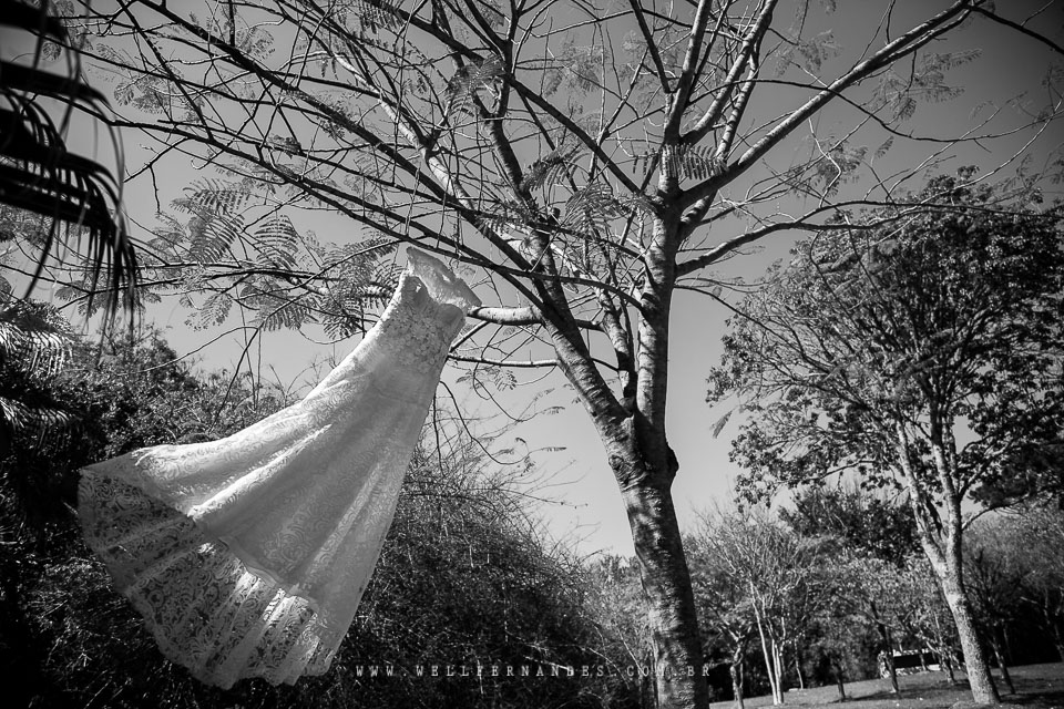 Casamento na fazenda - Casar de dia
