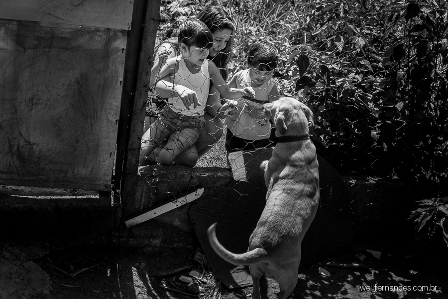 Fotografar a sua família um dia inteiro