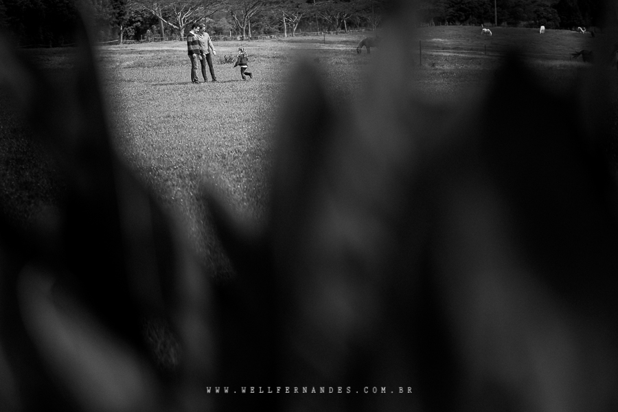 Ensaio documental de família no haras