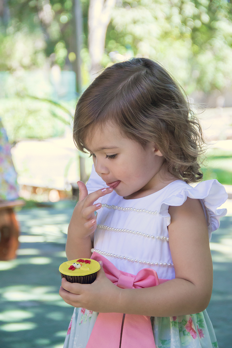 Aniversário infantil Malu 2 anos - Minaçu - Góias