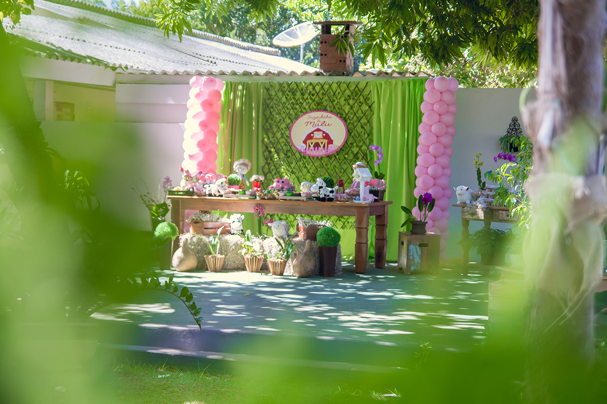 Aniversário infantil Malu 2 anos - Minaçu - Góias