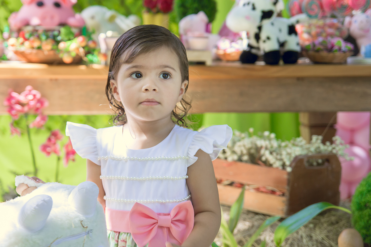 Aniversário infantil Malu 2 anos - Minaçu - Góias