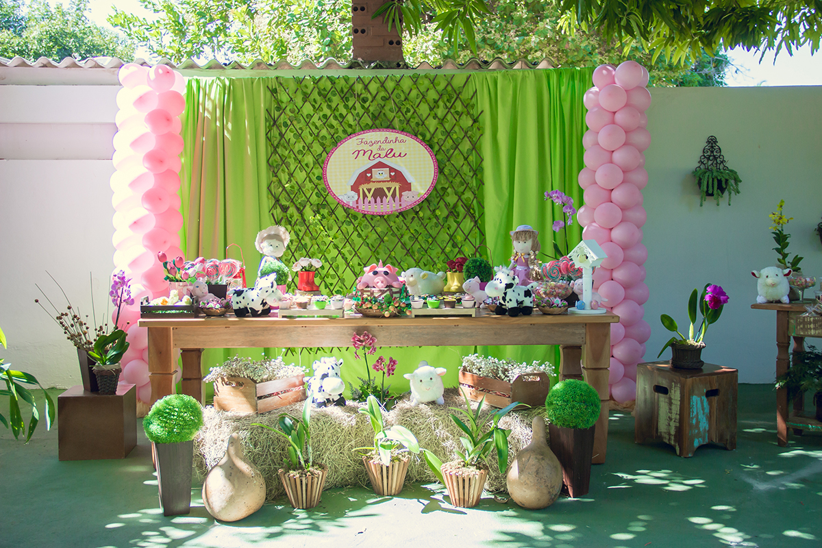Aniversário infantil Malu 2 anos - Minaçu - Góias