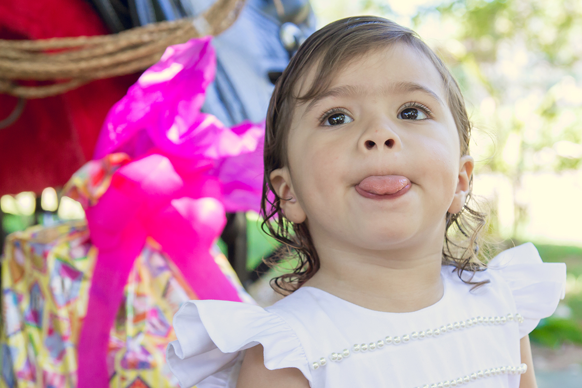 Aniversário infantil Malu 2 anos - Minaçu - Góias
