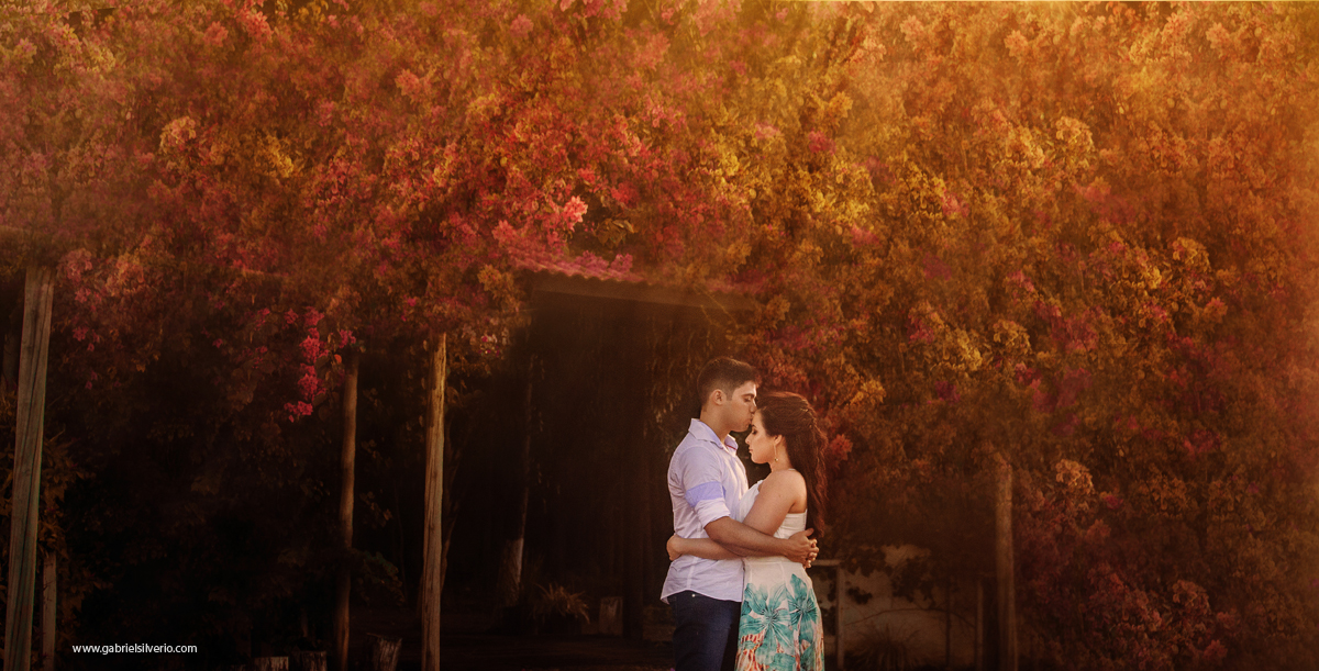 casamento-de-dia-ao-ar-livre-casamento-civil-trash-the-dress-annie-e-evandro-em-vilhena-ro-fotografado-por-gabriel-silvério-@gabrielsilveriofotografia-fine-art-brasil-casamento-tumblr-na-natureza