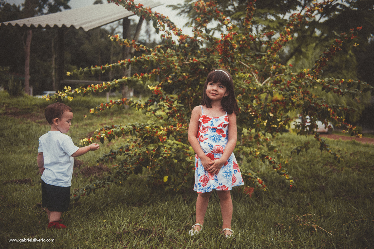 fotos-de-familias-asiaticas-familias-felizes-avós-filhos-e-netos-familia-de-camiseta-vermelha-shiokawa-por-gabriel-silvério-fotografias-vilhena-rondonia-familia-tumblr