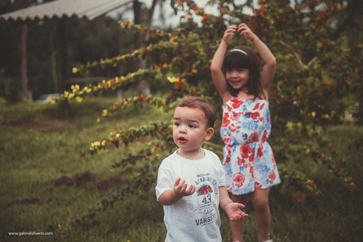 fotos-de-familias-asiaticas-familias-felizes-avós-filhos-e-netos-familia-de-camiseta-vermelha-shiokawa-por-gabriel-silvério-fotografias-vilhena-rondonia-familia-tumblr