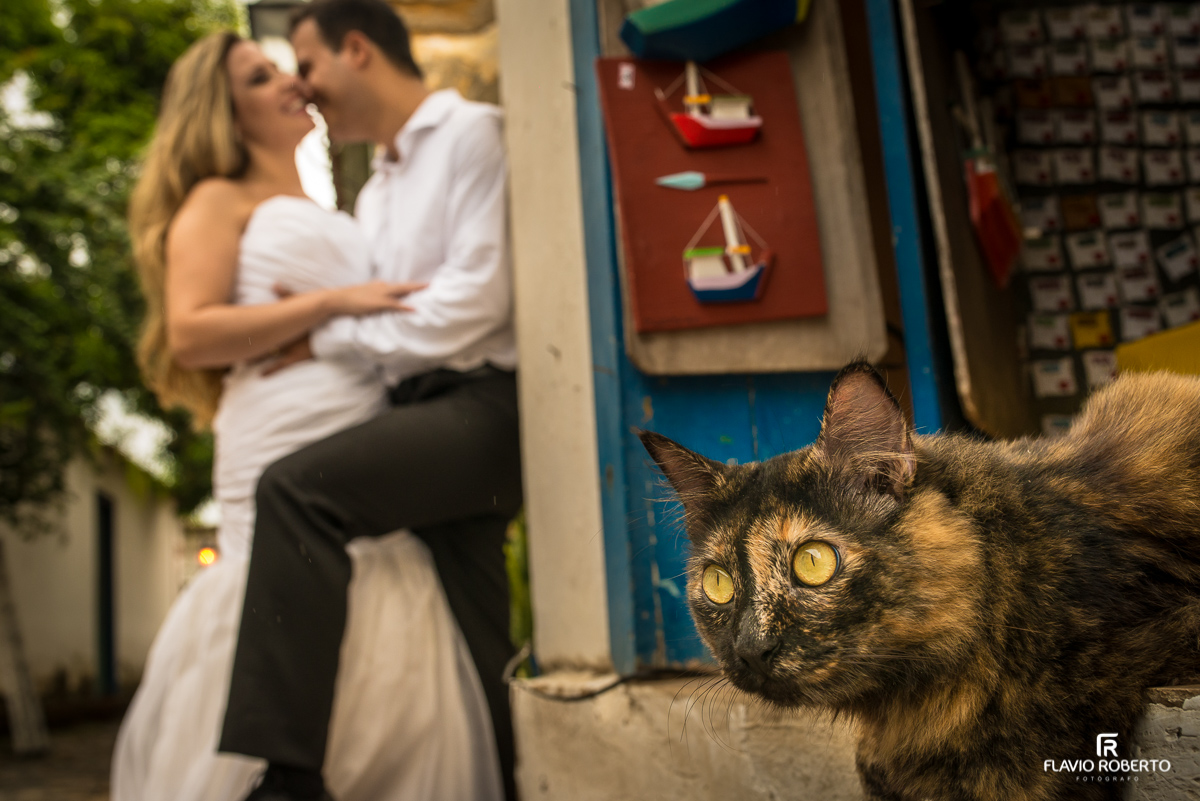 Gato olhando casal se beijando