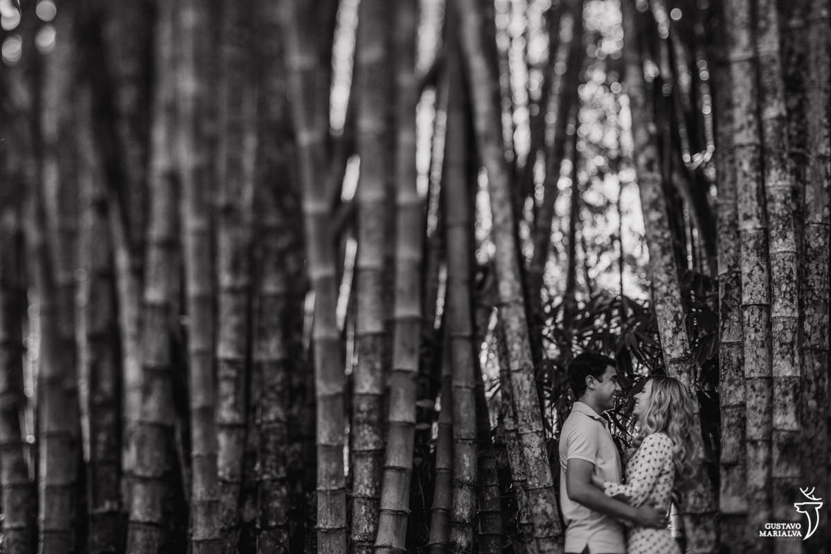 noivos namorado durante book de casal no jardim botânico do Rio de Janeiro