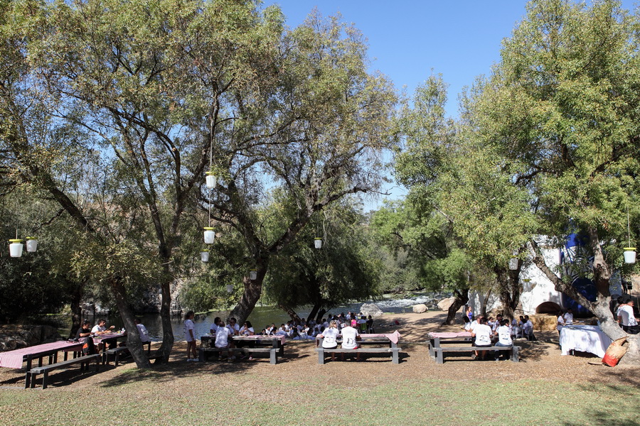 Acção de Team Building - Alentejo