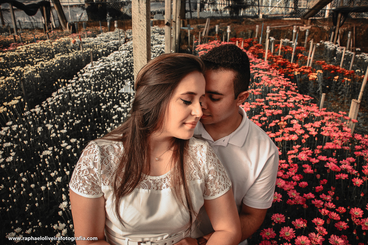 Ensaio pre-casamento da Bruna e Felipa realizado em Holambra pelo fotógrafo de são paulo Raphael Oliveira Fotografia