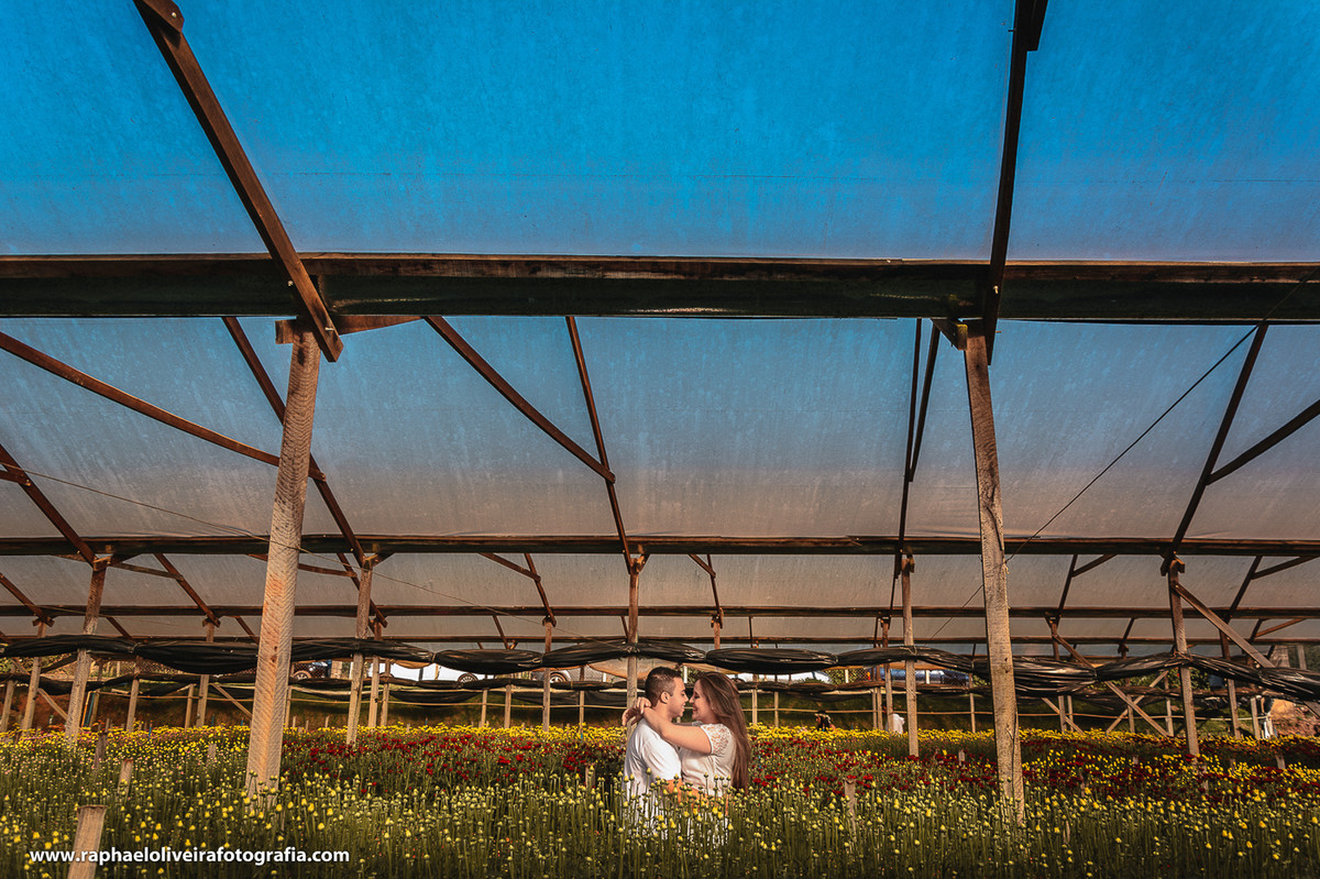 Ensaio pre-casamento da Bruna e Felipa realizado em Holambra pelo fotógrafo de são paulo Raphael Oliveira Fotografia