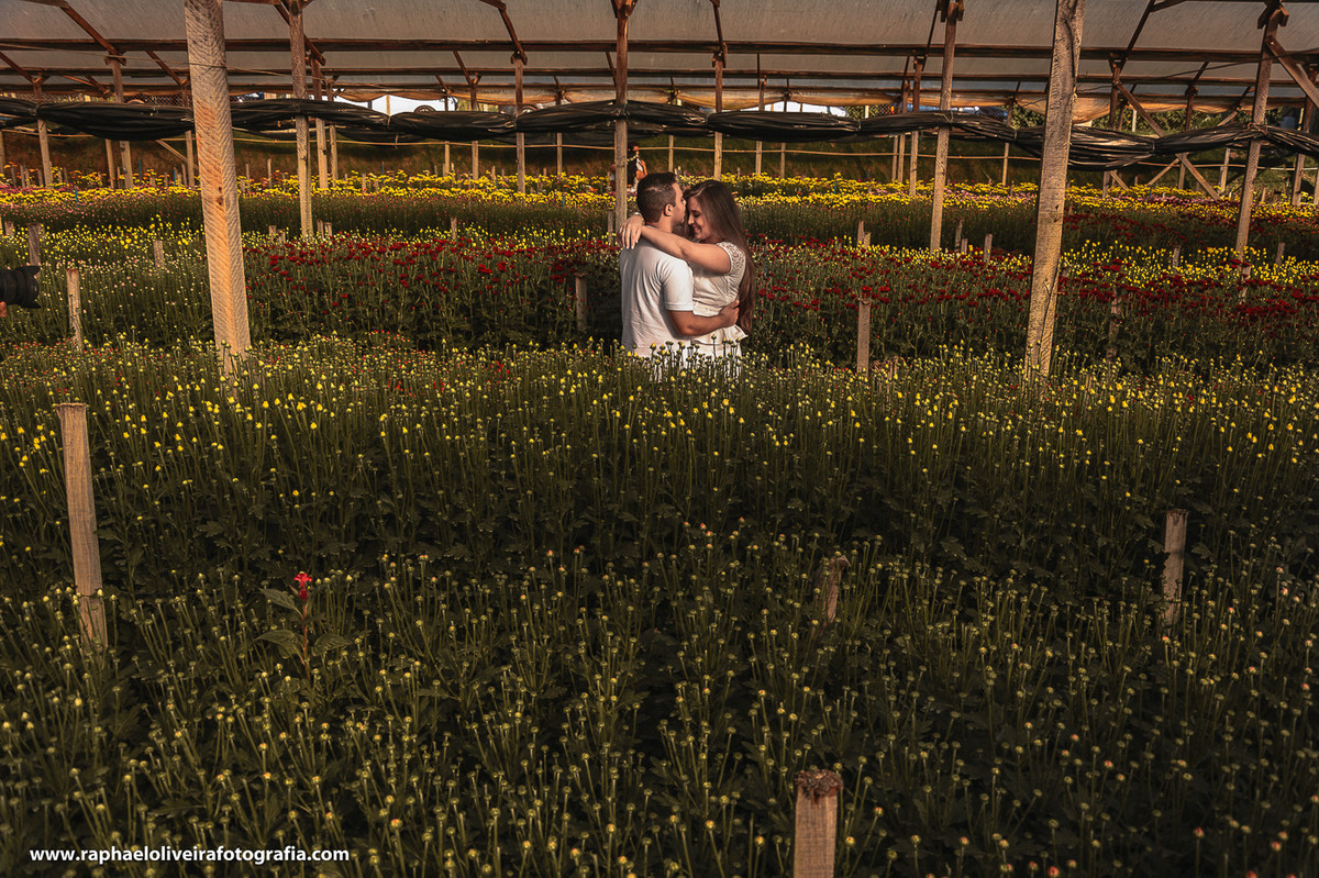 Ensaio pre-casamento da Bruna e Felipa realizado em Holambra pelo fotógrafo de são paulo Raphael Oliveira Fotografia