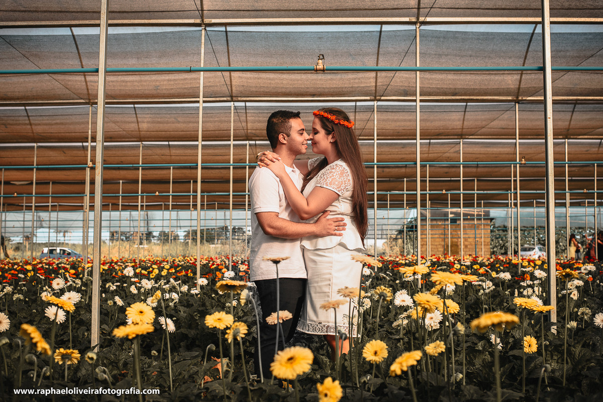Ensaio pre-casamento da Bruna e Felipa realizado em Holambra pelo fotógrafo de são paulo Raphael Oliveira Fotografia
