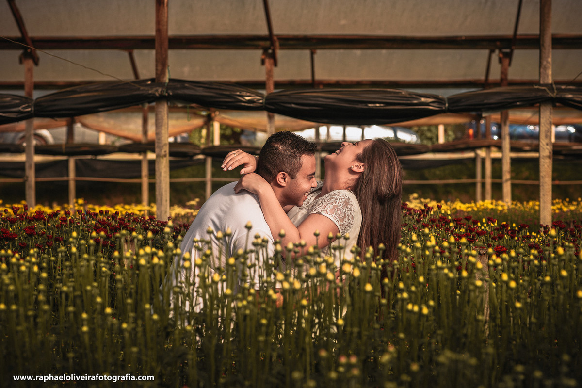 Ensaio pre-casamento da Bruna e Felipa realizado em Holambra pelo fotógrafo de são paulo Raphael Oliveira Fotografia