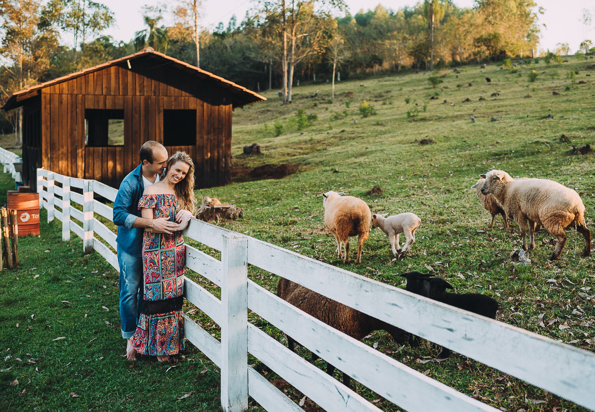 Ensaio romântico de casal junto com ovelhas no campo no interior do RS