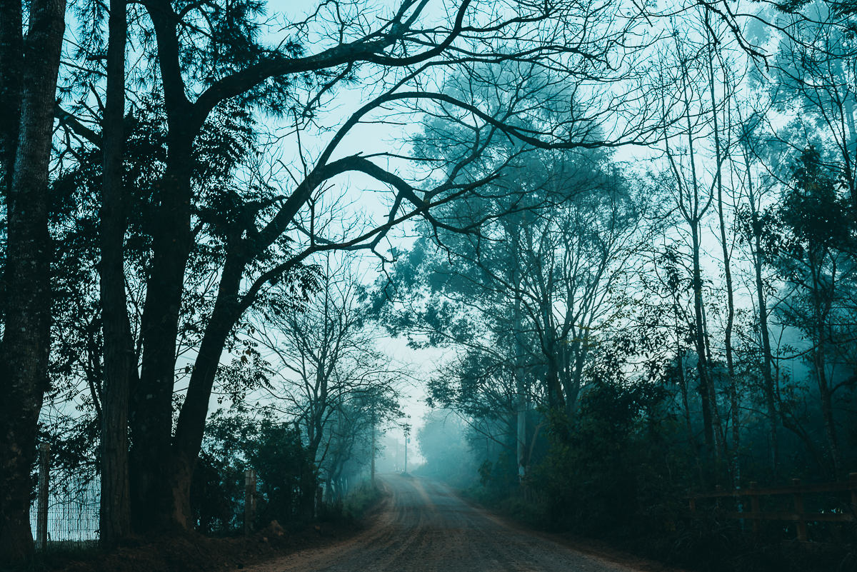 neblina presente na paisagem de inverno no interior do Vale do Taquari