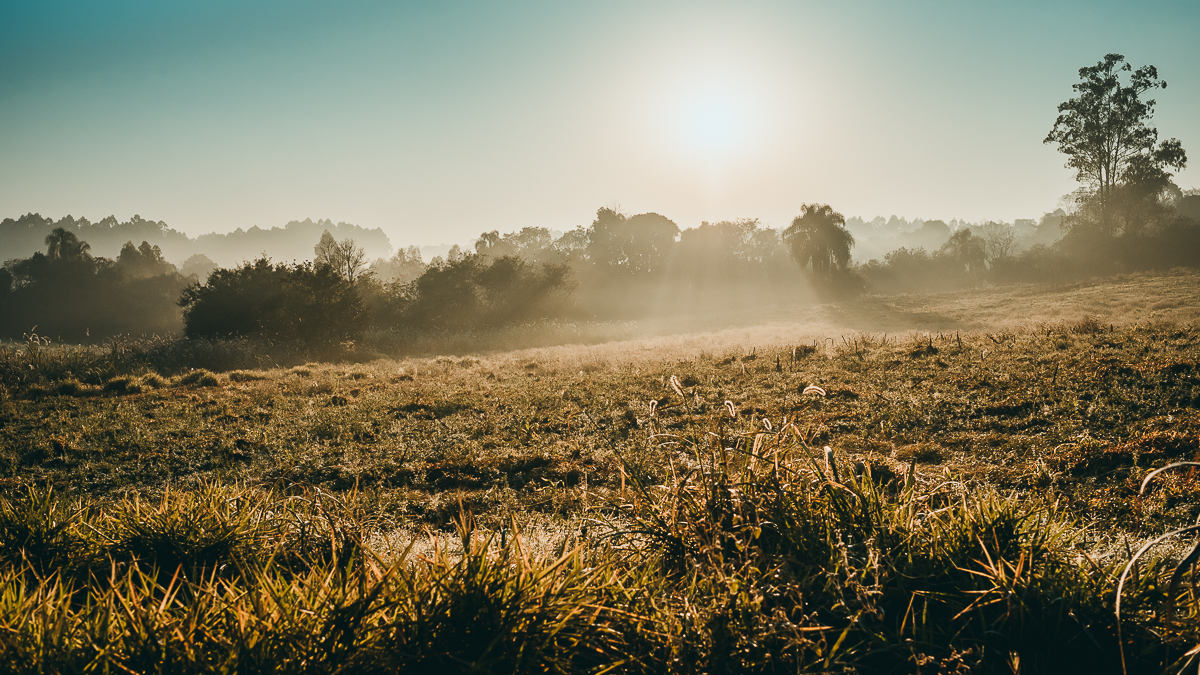Raios de sol sobre o campo no amahecer