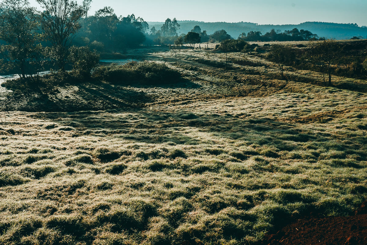 paisagem interiorana de paz e calmaria no interior que liga Estrela e Bom Retiro do Sul