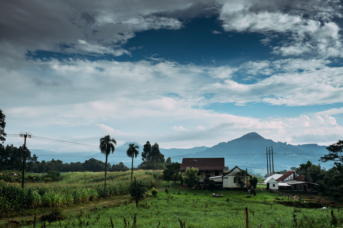 blue and cloudy sky composing with the green grass in the Brazilian Southern countryside landscapes
