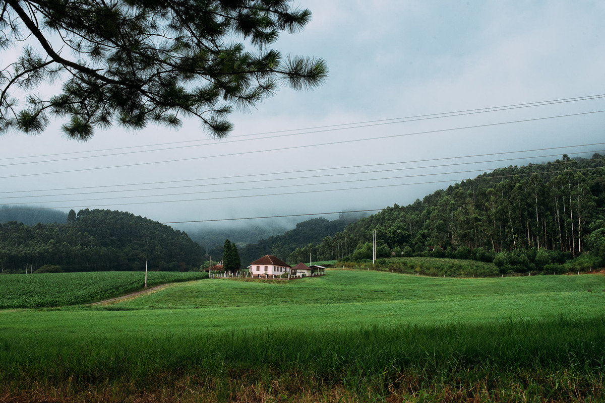 verdes campos em dia nublado no interior de Teutonia na Linha Frank