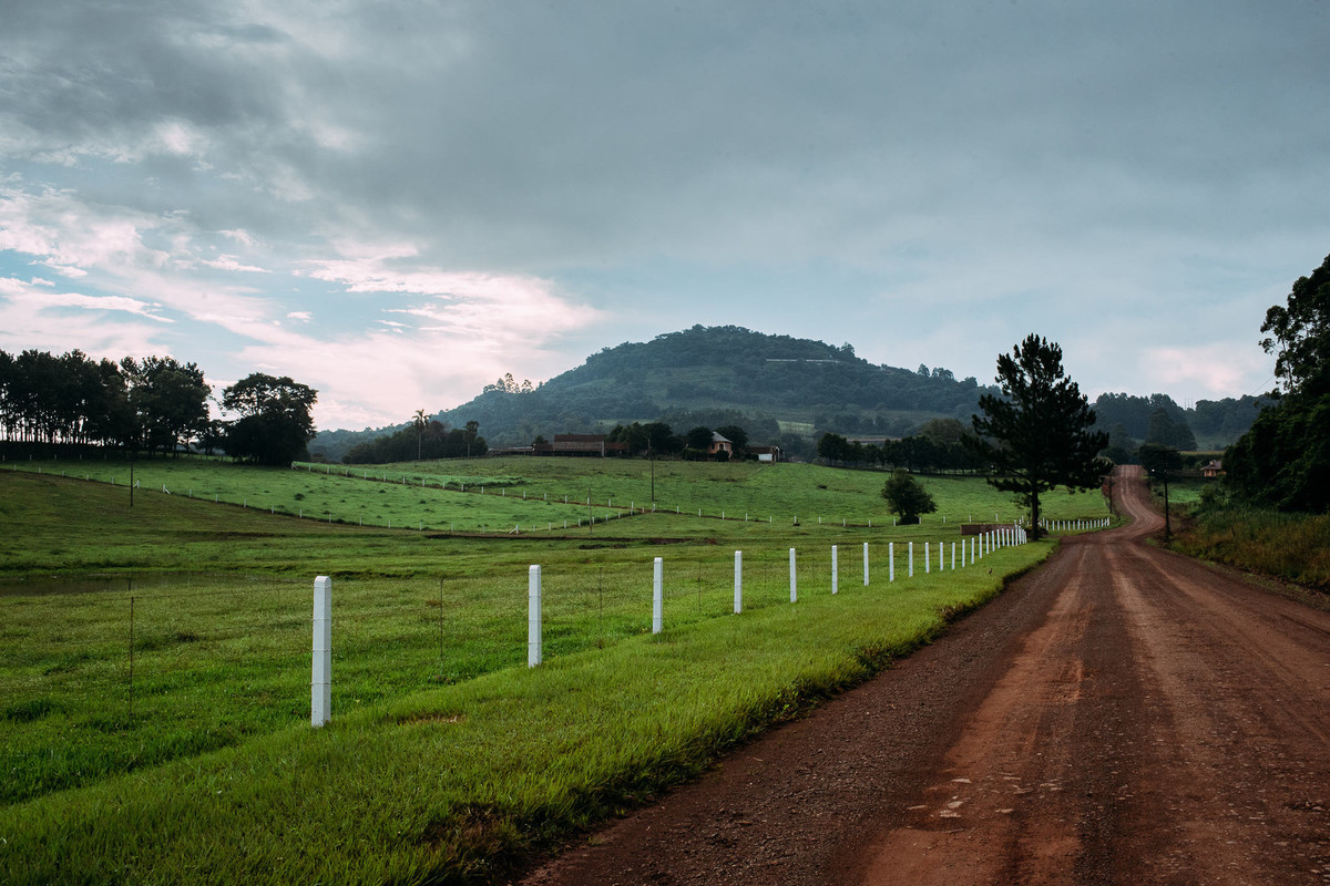 Brazilian countryside green landscapes