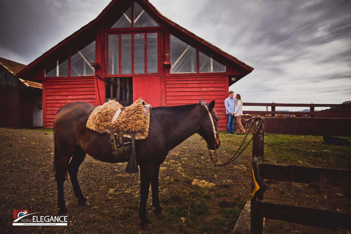 book com cavalo