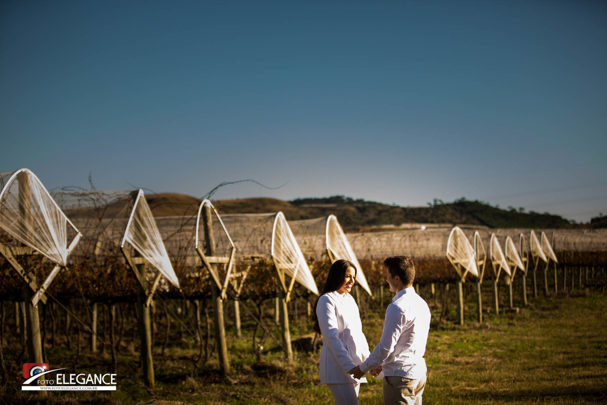 fotos de casal na vinicula