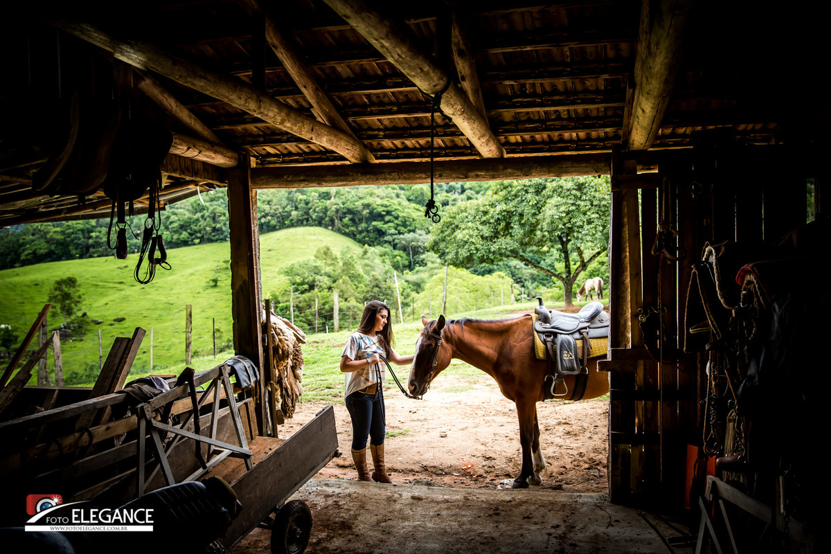 fotos de 15 anos com cavalo