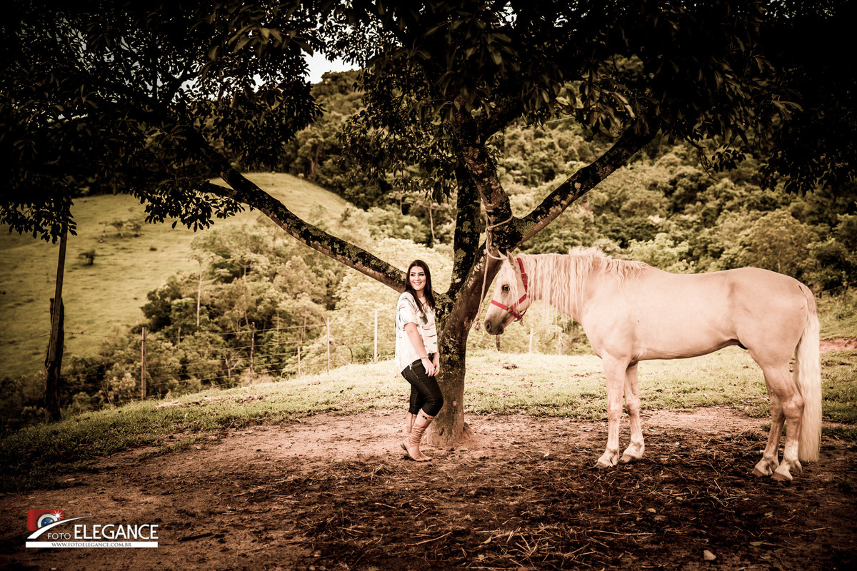 book de 15 anos com cavalo