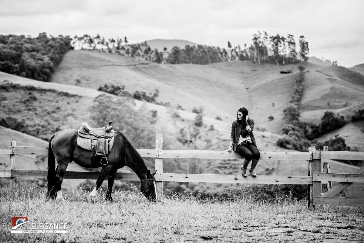 book de 15 anos com cavalo
