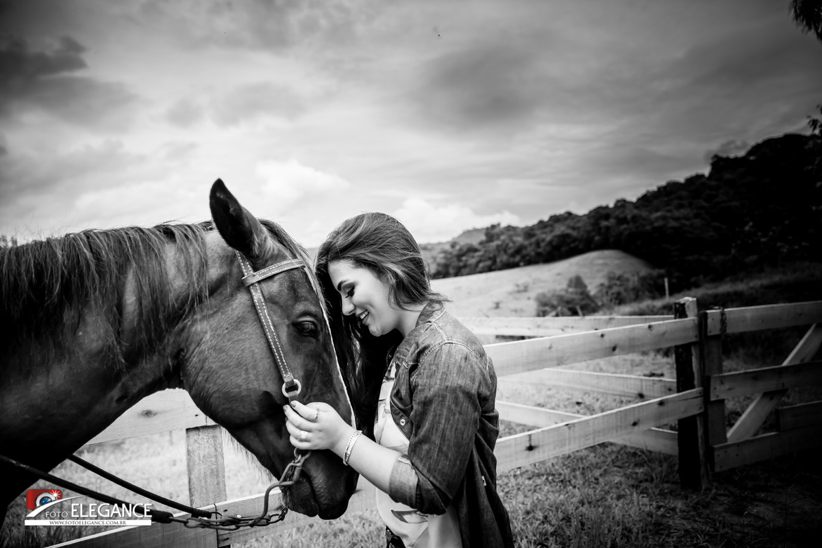 book de 15 anos com cavalo