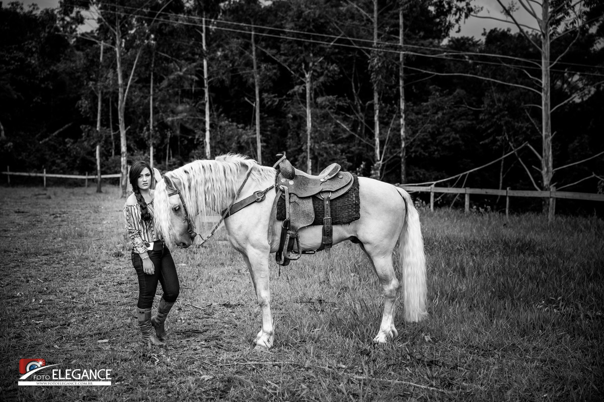 book de 15 anos com cavalo