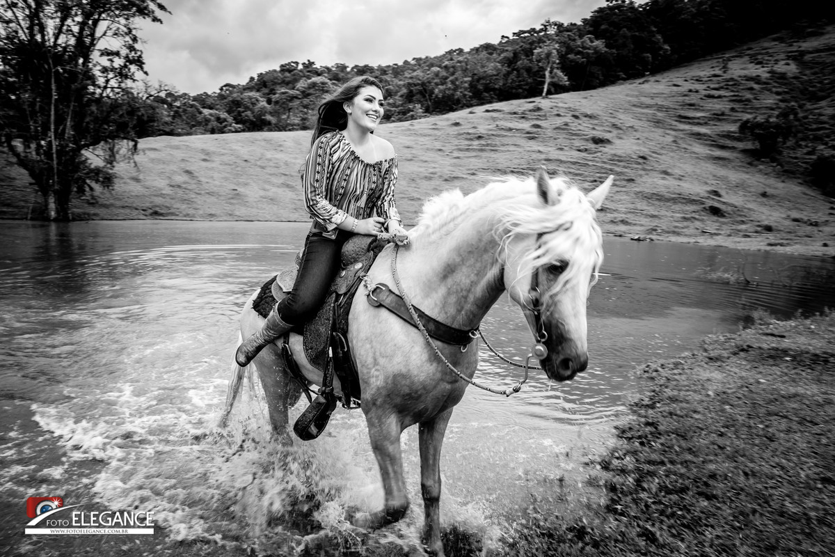 book de 15 anos com cavalo