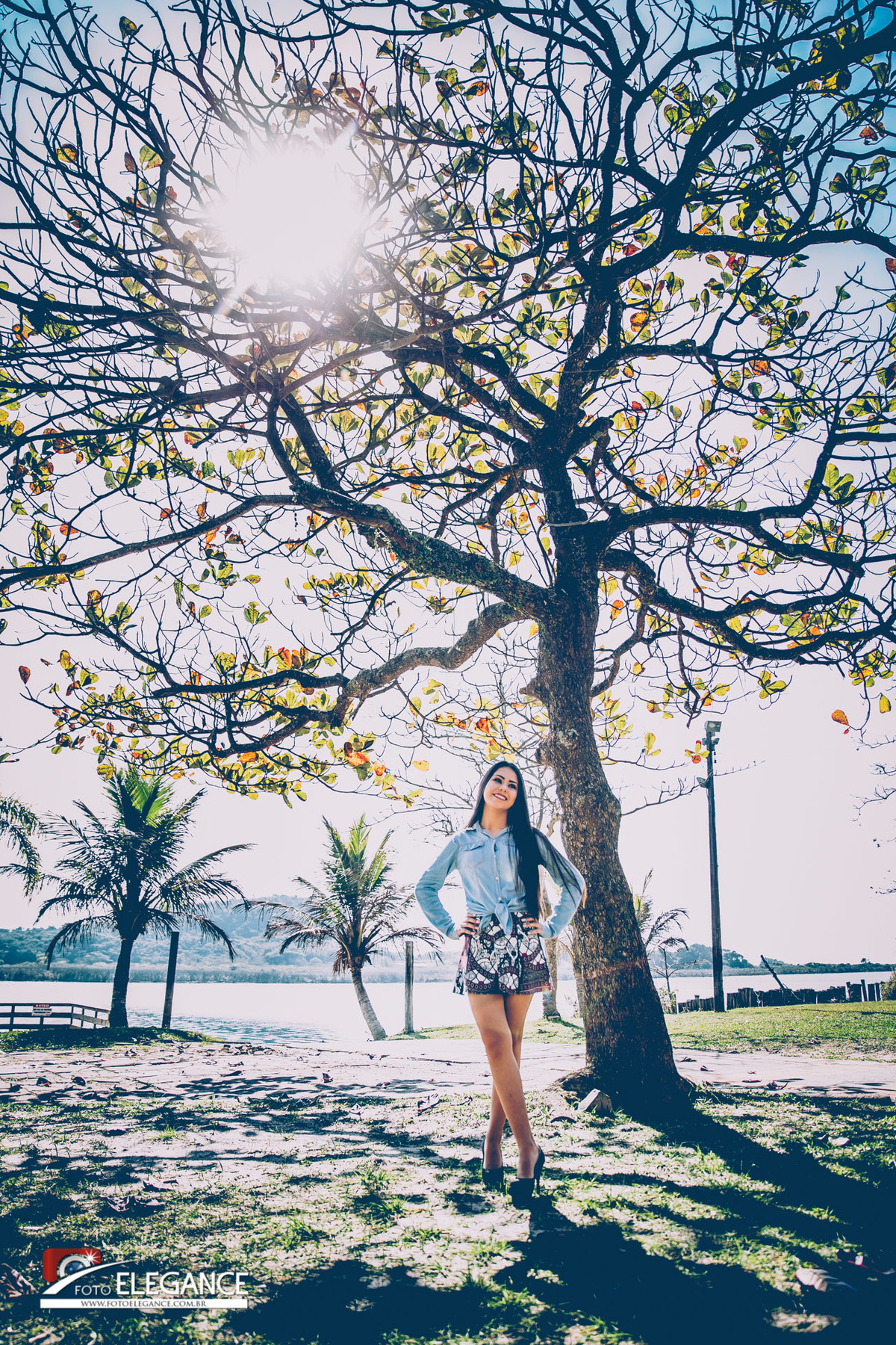 book de 15 anos