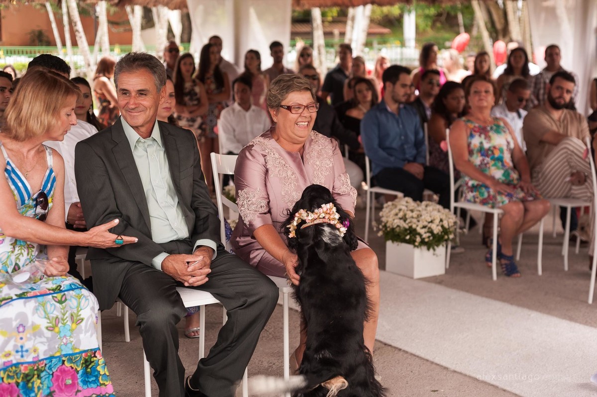 fotógrafo de casamento angra dos reis, fotógrafo de casamento paraty, casamento com cachorros, cachorros no casamento, casamento na ilha, casamento ilha kabuki