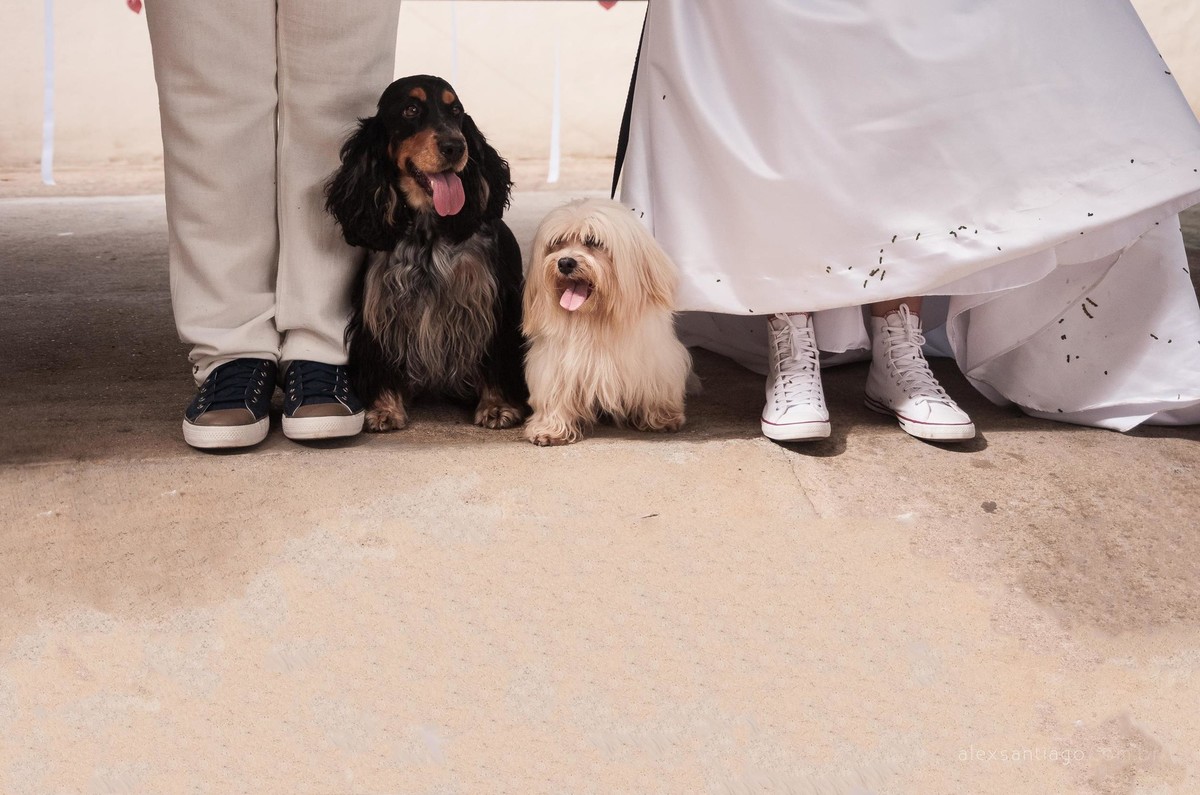 casamento com cachorros, casamento com pets, casamento vintage em minas, mini wedding paraty, casamento angra dos reis