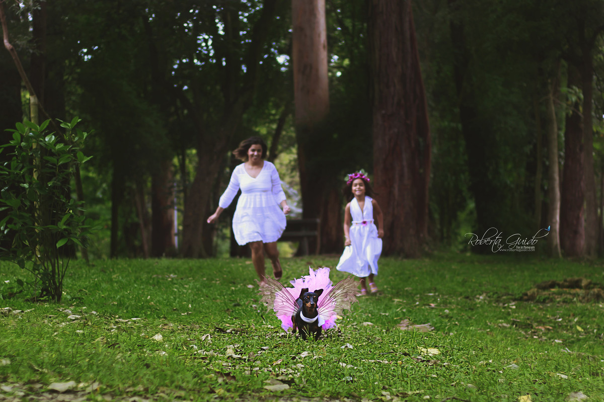 ensaio fotografico com cachorro