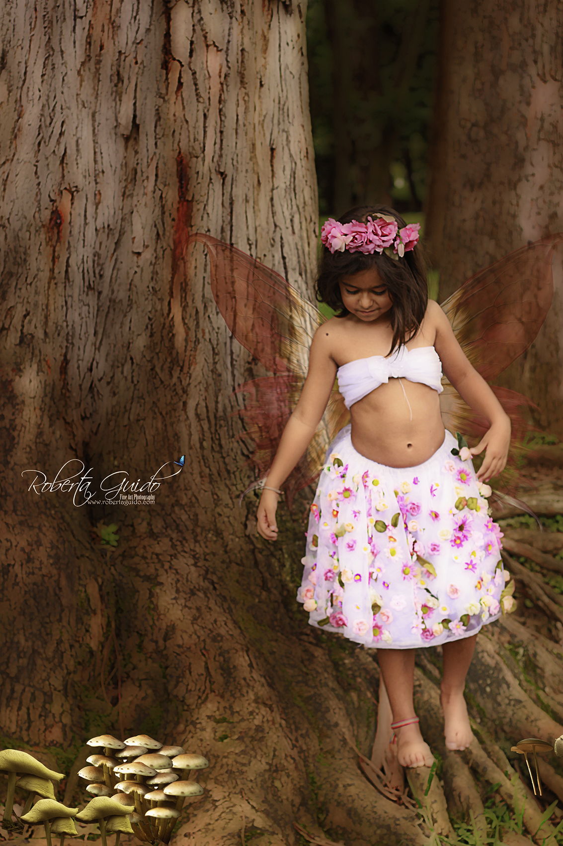 ensaio fotografico infantil de fadas são paulo