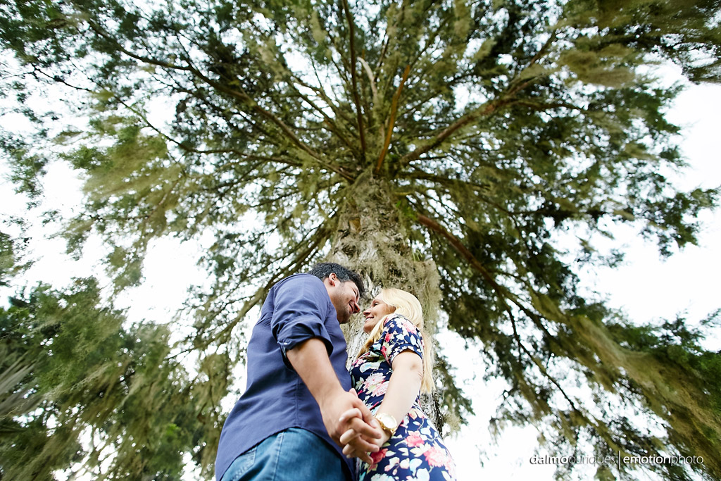 Pré Wedding em Rancho Queimado; Ensaio de casal com árvores;
