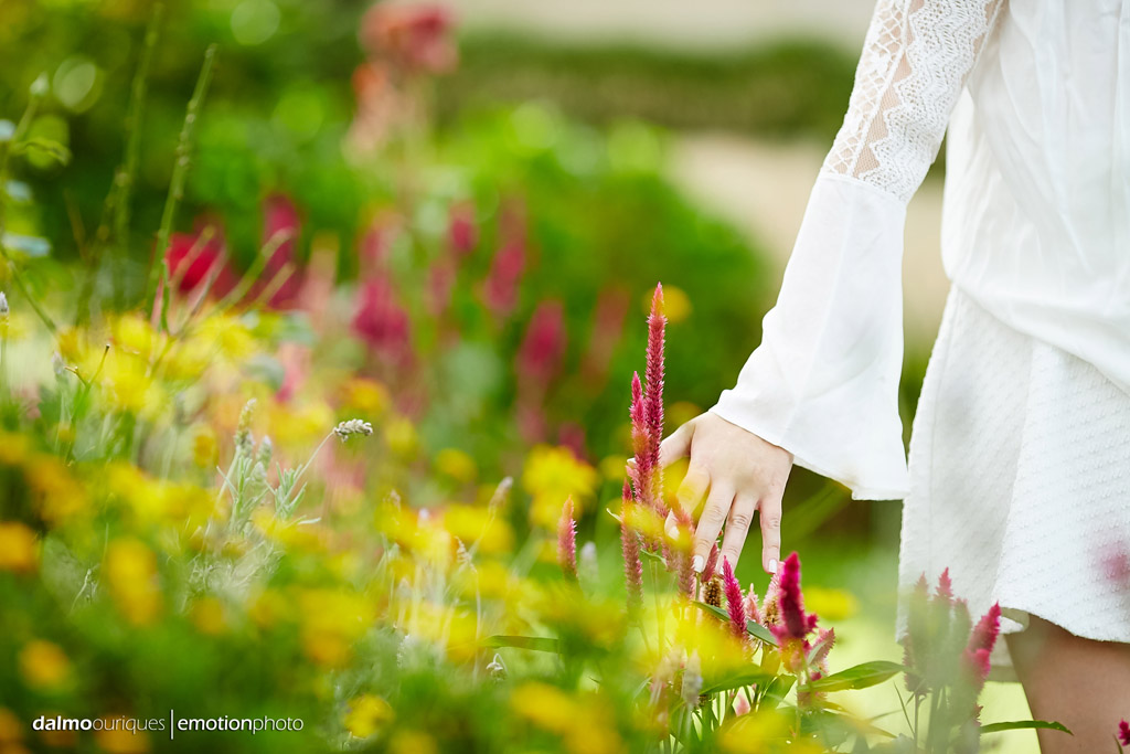 Pré Wedding em Rancho Queimado; Ensaio de casal; campo de flores