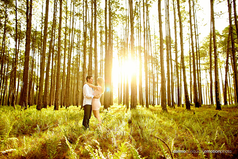 pre wedding em florianopolis; ensaio de casal em florianopolis; ensaio em florianopolis; fotografia de casal; pre wedding; florianopolis; ensaio do rio vermelho