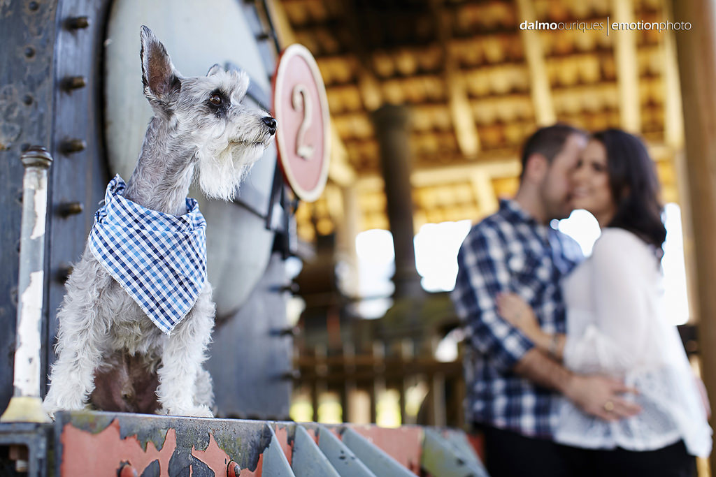 Pré Wedding em Rancho Queimado; Ensaio de casal; pre wedding em Rancho Queimado; ensaio de casal em Rancho Queimado; fotografia de casal; pre wedding; fotografo dalmo ouriques