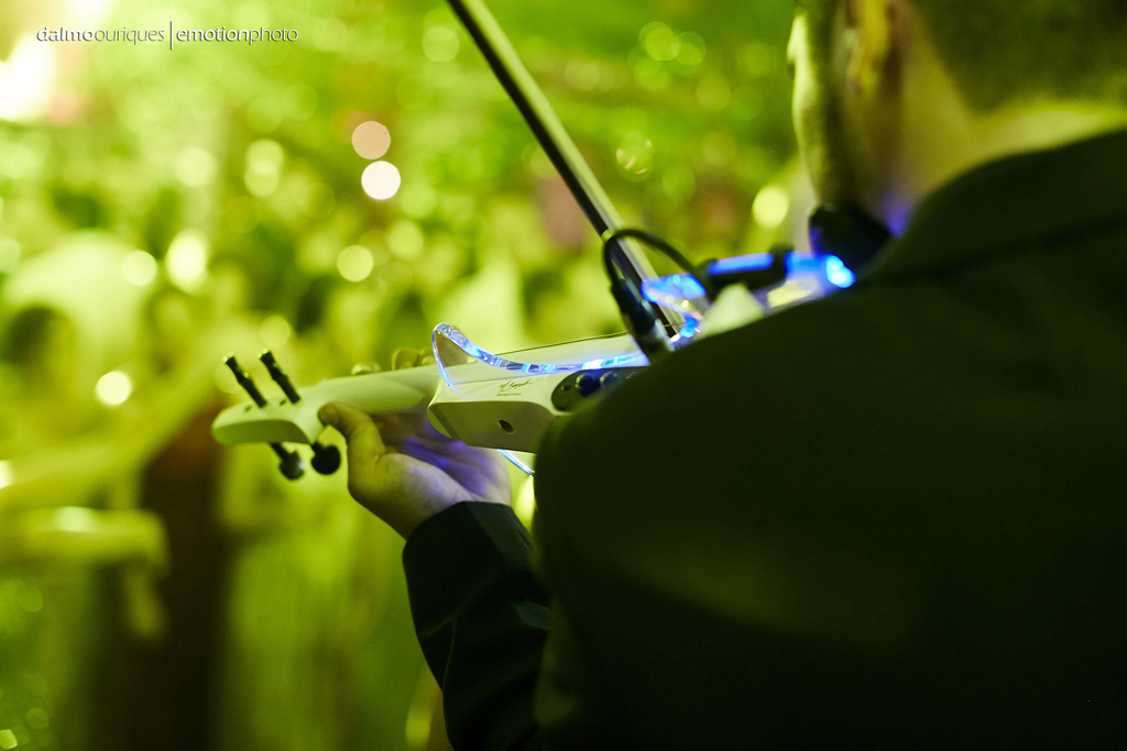 fotografia de casamento em florianopolis; fotografo de casamento em florianopolis; wedding em florianopolis; fotografo em florianopolis; decoração de casamento, casamento na Alameda Casa Rosa
