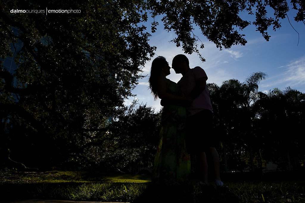 pre wedding nos estados unidos; pre wedding; ensaio de casal nos EUA; ensaio fotografico nos eua; fotografo dalmo ouriques