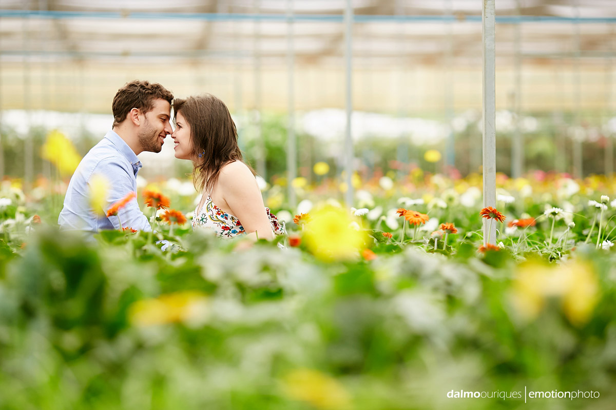 pre wedding em holambra; ensaio de casal em holambra; ensaio em holambra; fotografia de casal; pre wedding; holambra; onde fazer o ensaio de casal; campo florido; ensaio de casal no meio das flores