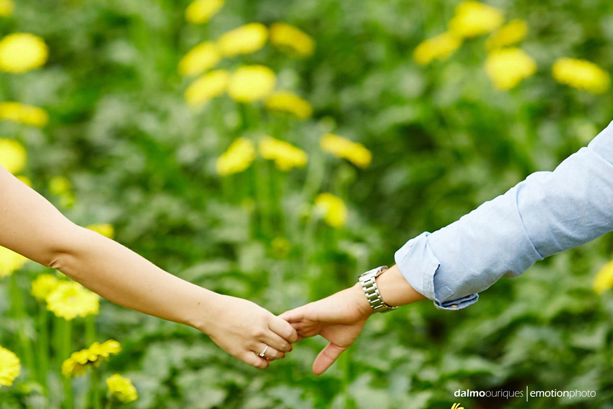 pre wedding em holambra; ensaio de casal em holambra; ensaio em holambra; fotografia de casal; pre wedding; holambra; onde fazer o ensaio de casal; campo florido; ensaio de casal no meio das flores