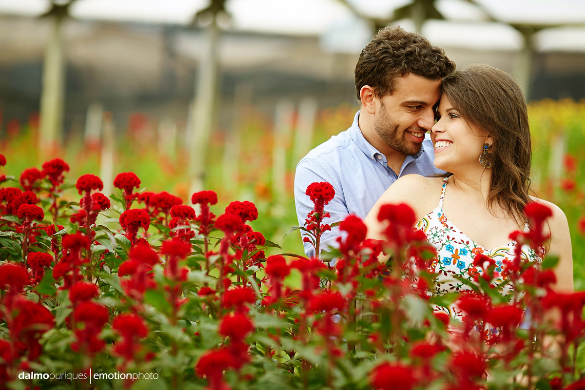 pre wedding em holambra; ensaio de casal em holambra; ensaio em holambra; fotografia de casal; pre wedding; holambra; onde fazer o ensaio de casal; campo florido; ensaio de casal no meio das flores