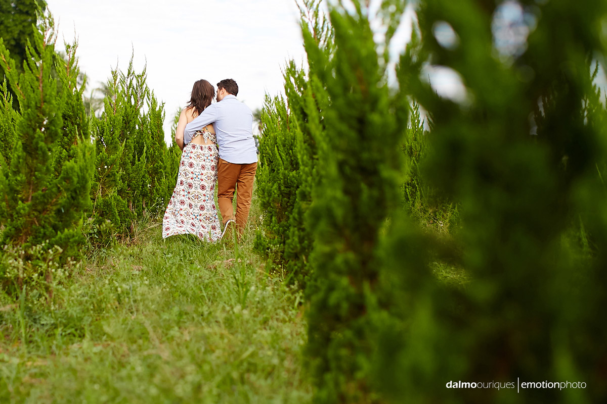 pre wedding em holambra; ensaio de casal em holambra; ensaio em holambra; fotografia de casal; pre wedding; holambra; onde fazer o ensaio de casal; campo florido; ensaio de casal no meio das flores