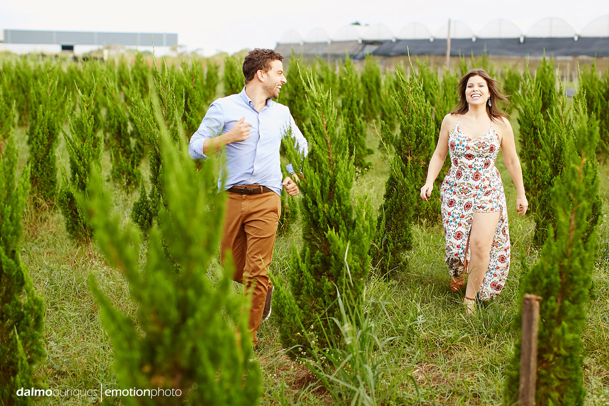pre wedding em holambra; ensaio de casal em holambra; ensaio em holambra; fotografia de casal; pre wedding; holambra; onde fazer o ensaio de casal; campo florido; ensaio de casal no campo